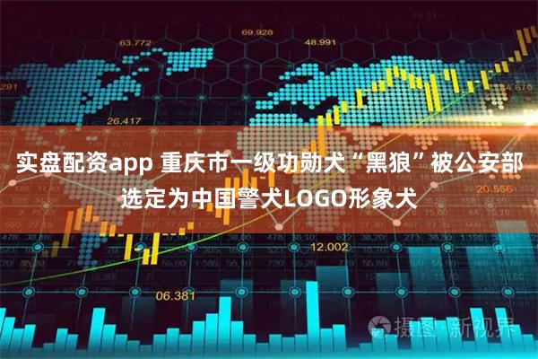 实盘配资app 重庆市一级功勋犬“黑狼”被公安部选定为中国警犬LOGO形象犬